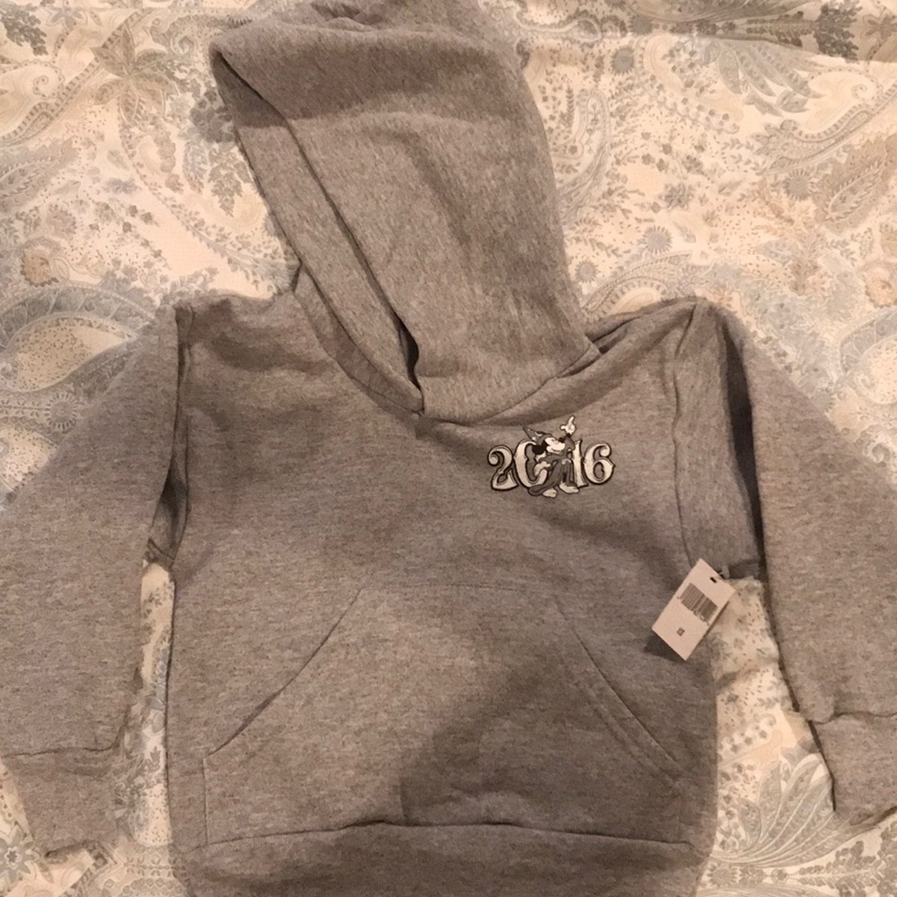2016 Disney World Sweatshirt